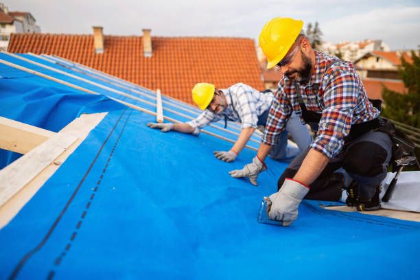 Best Chimney Flashing Repair  in Shelby, MT